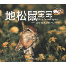 地松鼠宝宝/动物萌宝贝