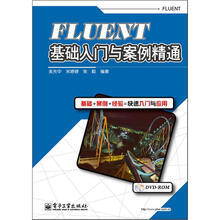 FLUENT基础入门与案例精通（含DVD光盘1张）
