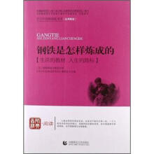 青少年经典阅读长篇小说系列：钢铁是怎样炼成的