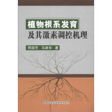 植物根系发育及其激素调控机理