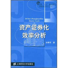 资产证券化效率分析/金融理论前沿丛书