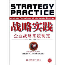 战略实践：企业战略系统制定