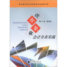 中小企业会计全真实战