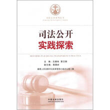 司法公开丛书：司法公开实践探索