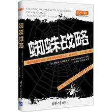 蜘蛛战略
