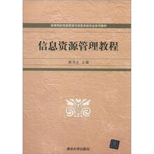 高等院校信息管理与信息系统专业系列教材:信息资源管理教程