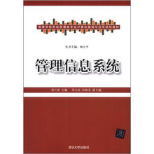 高等学校财经管理类专业计算机基础与应用规划教材:管理信息系统