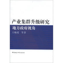 产业集群升级研究：地方政府视角