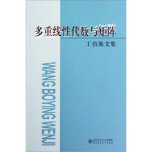 多重线性代数与矩阵（王伯英文集）