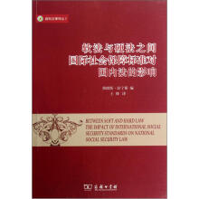 威科法律译丛：软法与硬法之间国际社会保障标准对国内法的影响