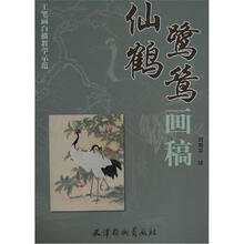 工笔画白描教学示范：仙鹤鹭鸶画稿