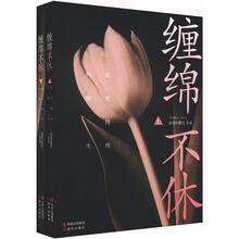 缠绵不休（套装上下册）
