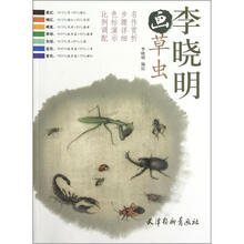 李晓明画草虫