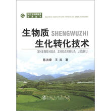 现代生物质能源技术丛书：生物质生化转化技术