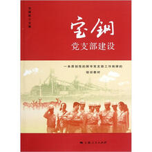 宝钢党支部建设