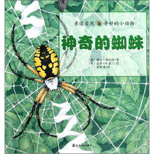 亲近自然奇妙的小动物:神奇的蜘蛛