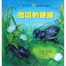 亲近自然奇妙的小动物:歌唱的蟋蟀
