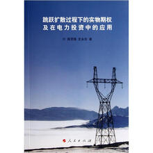 跳跃扩散过程下的实物期权及在电力投资中的应用