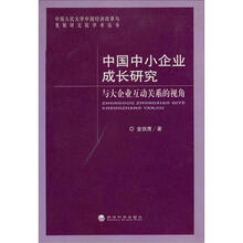 中国中小企业成长研究:与大企业互动关系的视角