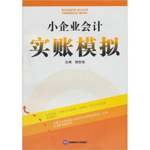 小企业会计实账模拟