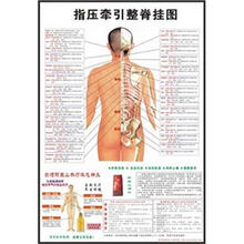 指压牵引整脊挂图