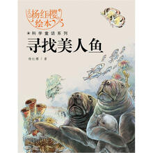 寻找美人鱼