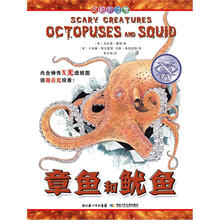 可怕的动物：章鱼和鱿鱼