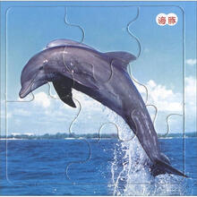 小白兔童书馆·超级拼图：海洋动物