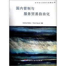 国内管制与服务贸易自由化
