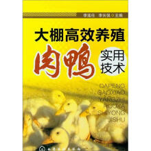 大棚高效养殖肉鸭实用技术