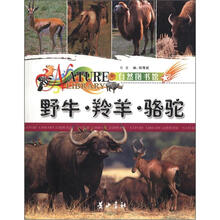 自然图书馆：野牛·羚羊·骆驼