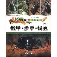 自然图书馆：锹甲·步甲·蚂蚁