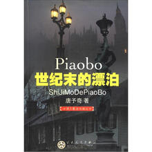 小说月报金长篇丛书:世纪末的漂泊