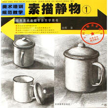 经典美术基础专业教学：素描静物1