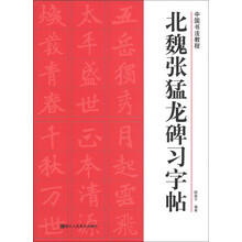 中国书法教程:北魏张猛龙碑习字帖