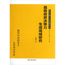 公共行政与公共管理丛书：县级政府决策力生成场域研究