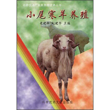 小尾寒羊养殖