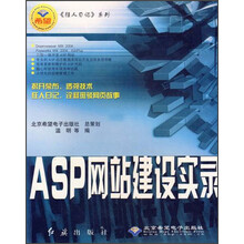 ASP网站建设实录