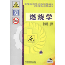 高等教育安全科学与工程类系列规划教材·消防工程专业系列规划教材:燃烧学