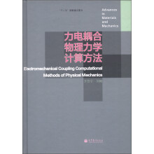 “十二五”国家重点图书：力电耦合物理力学计算方法