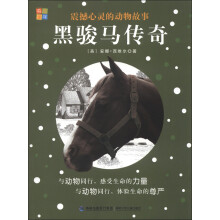 震撼心灵的动物故事:黑骏马传奇