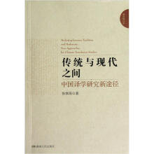 通天塔丛书·传统与现代之间：中国译学研究新途径