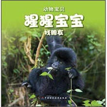 动物宝贝:猩猩宝宝找朋友
