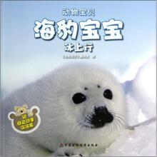 海豹宝宝冰上行