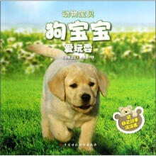 狗宝宝爱玩耍