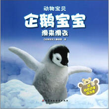 动物宝贝：企鹅宝宝滑来滑去