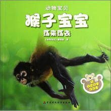 猴子宝宝荡来荡去