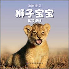狮子宝宝忙碌的一天