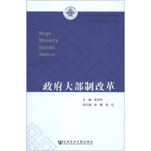 政府管理与改革研究系列丛书：政府大部制改革