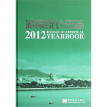 湖南统计年鉴2012（附光盘）